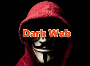 Cannabis Dark Web