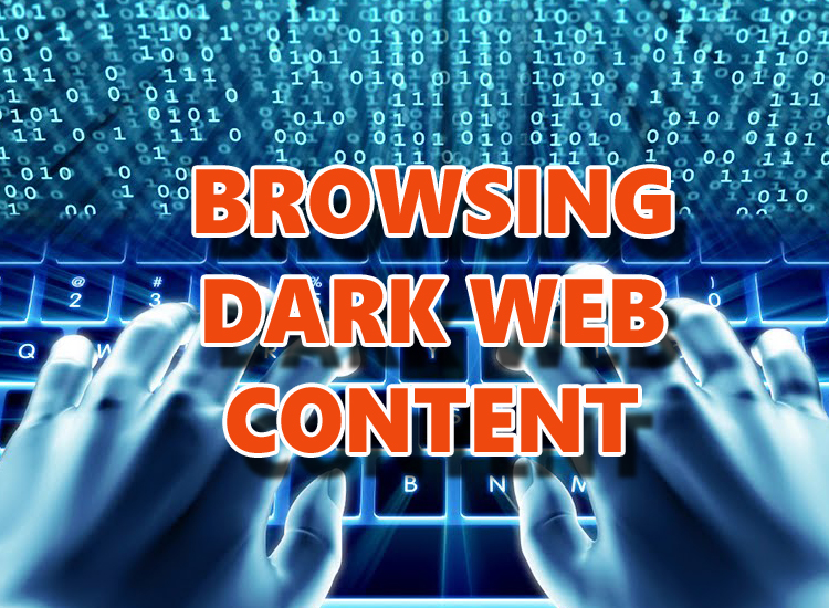 Dark Web Website Links
