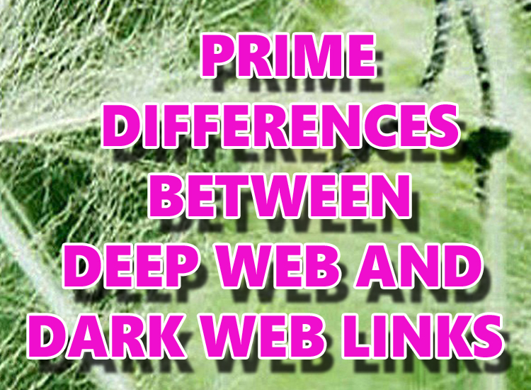 dark web links