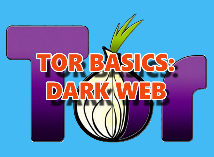 tor dark web search