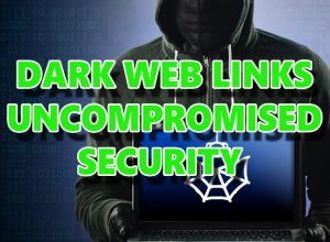 Verified dark web links